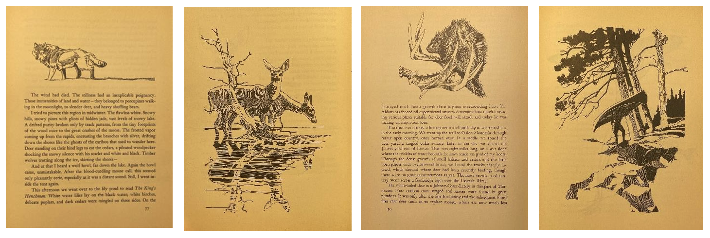 natural history illustrations by Francis Lee Jaques